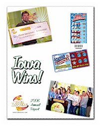 2008 Annual Report cover