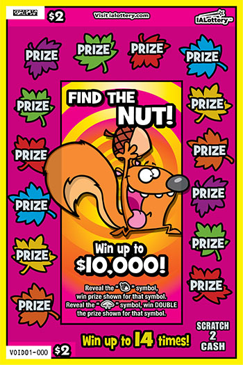 Find The Nut!